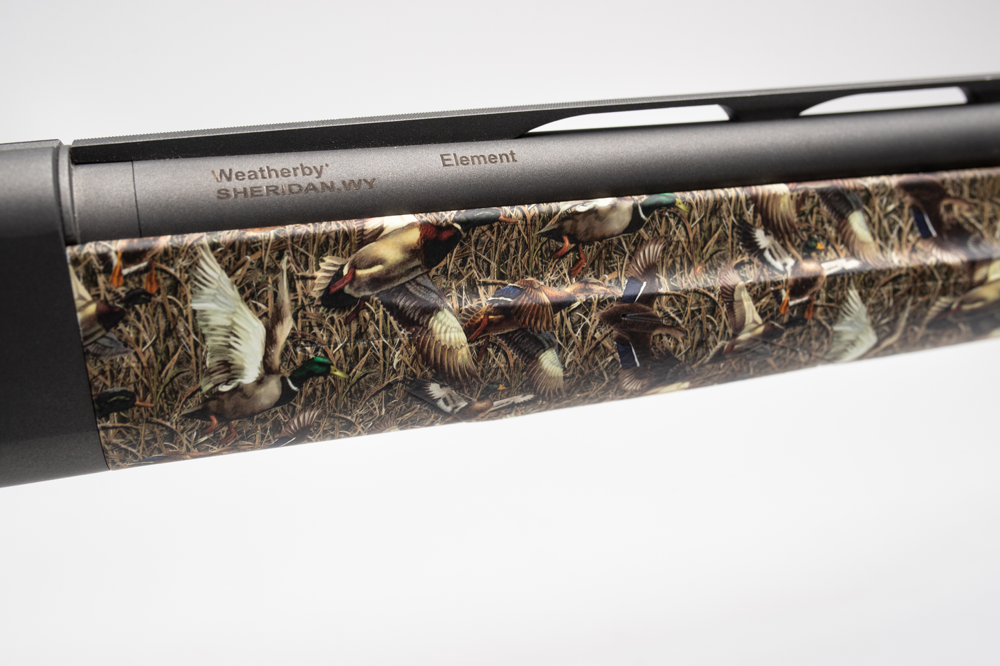 DUCK HUNT