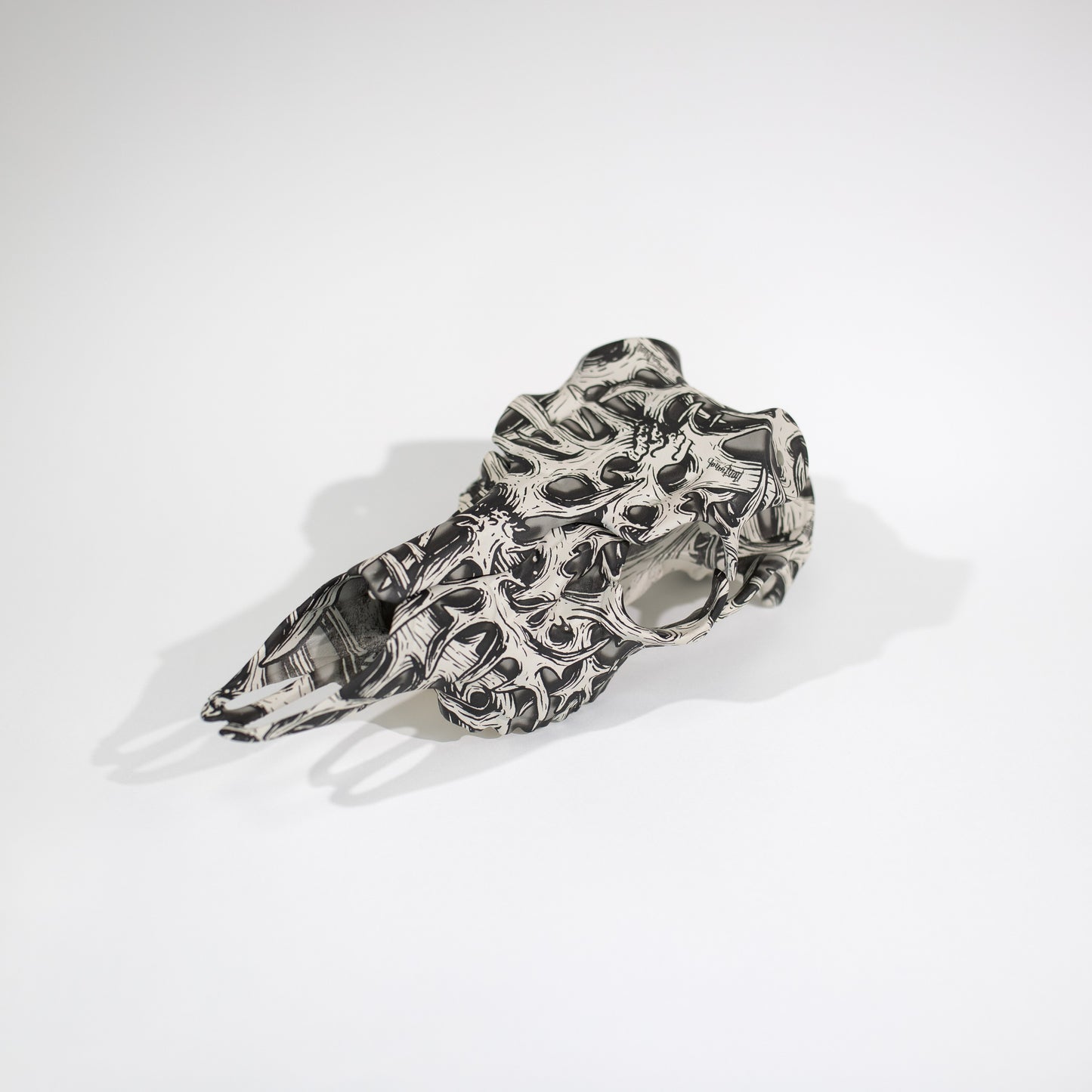 SKULL MOUNT