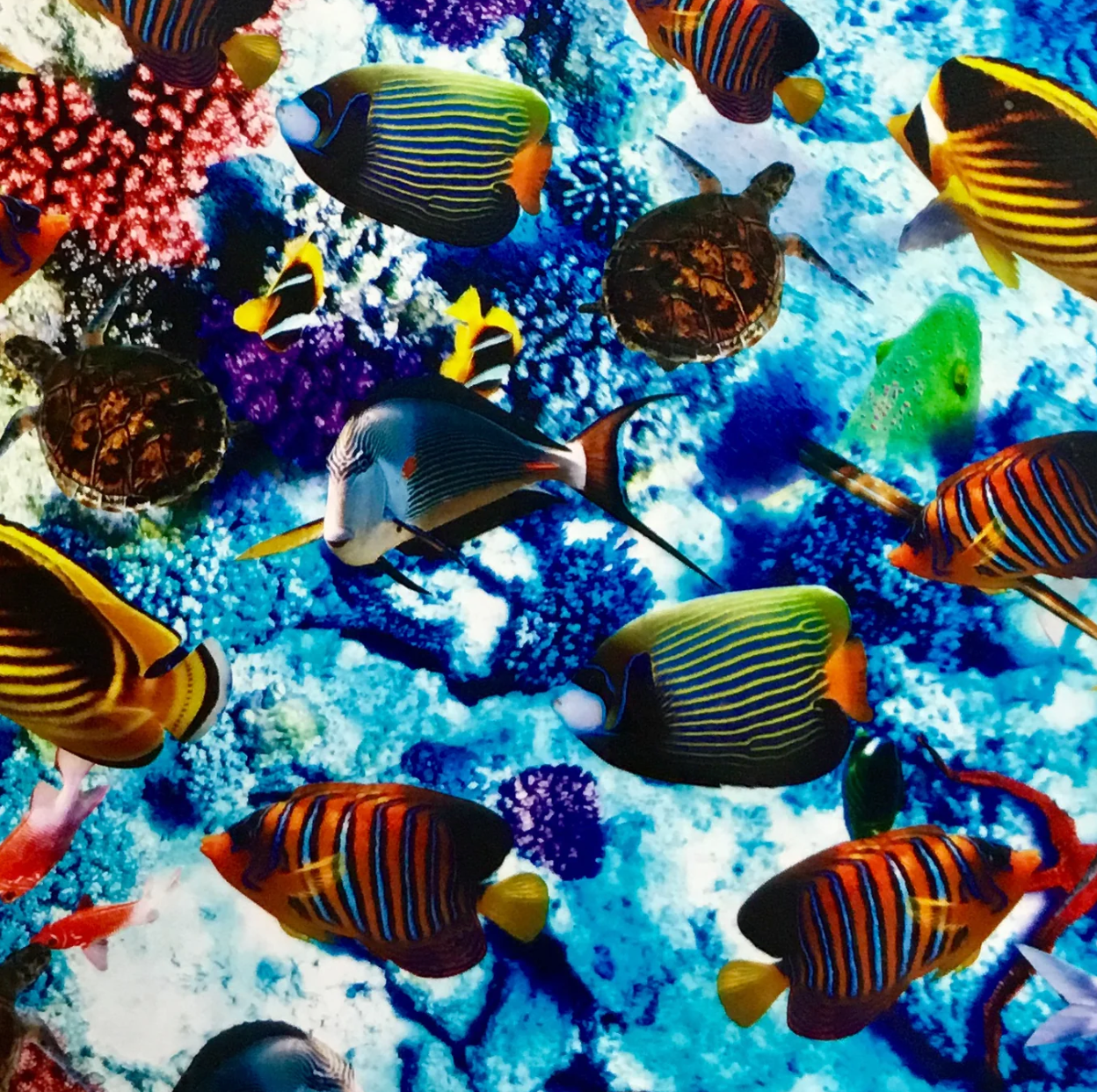 AQUARIUM