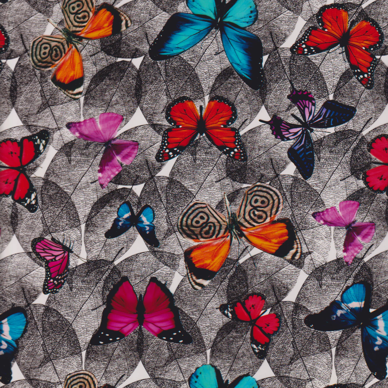 BUTTERFLY MEADOW
