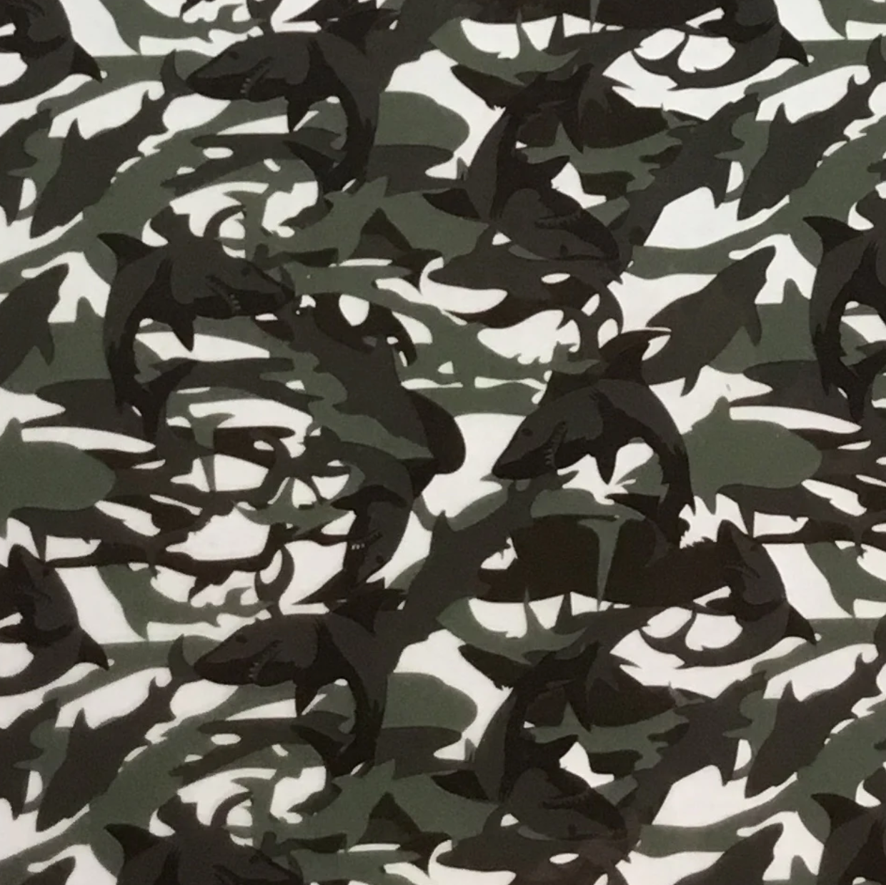 CAMO SHARKS