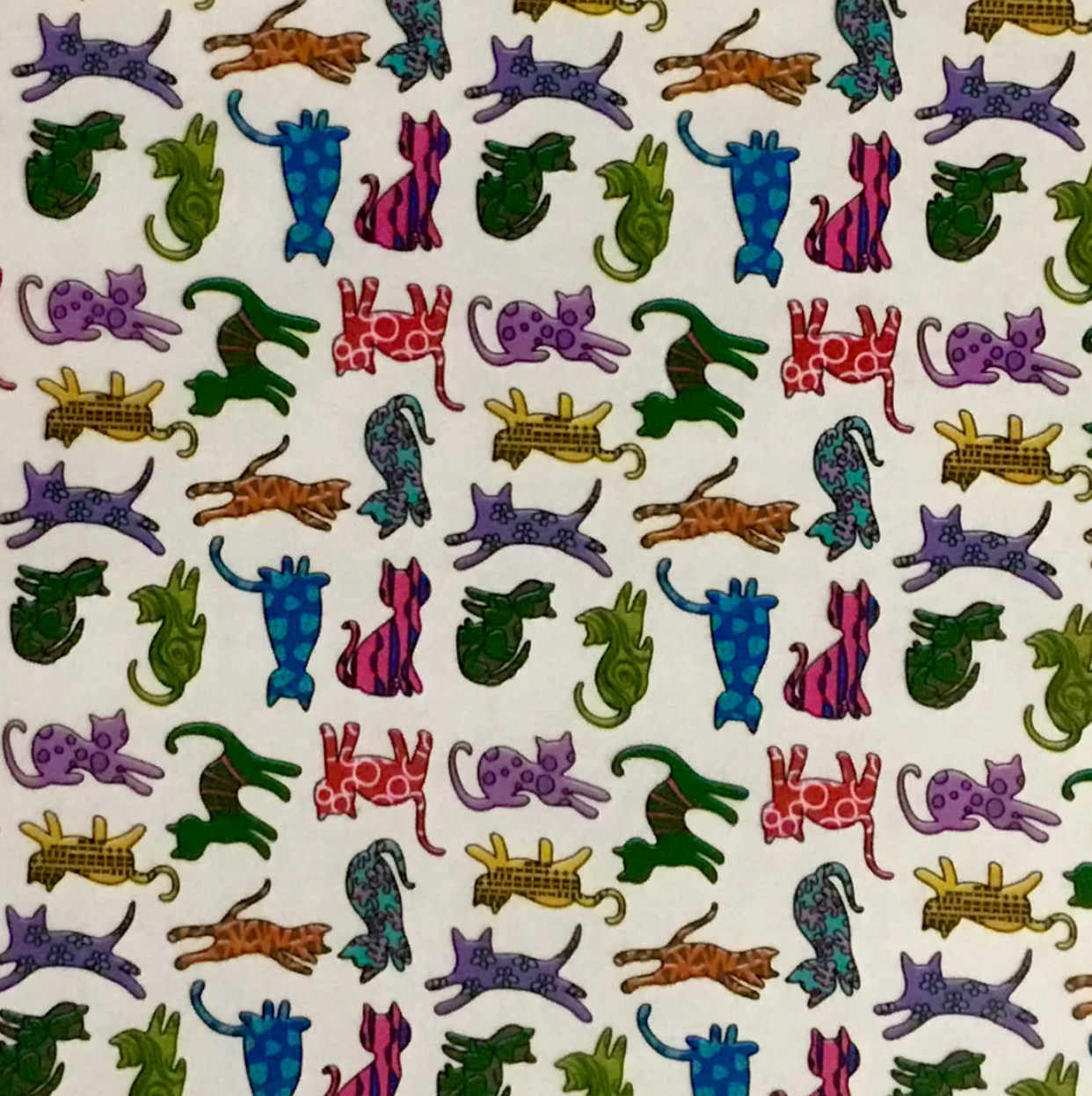 CAT CRAZY