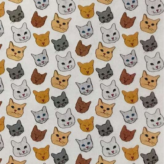CAT FACES