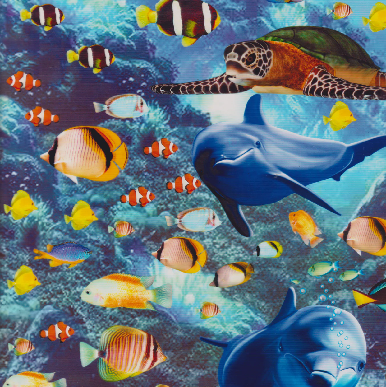 DOLPHIN WORLD
