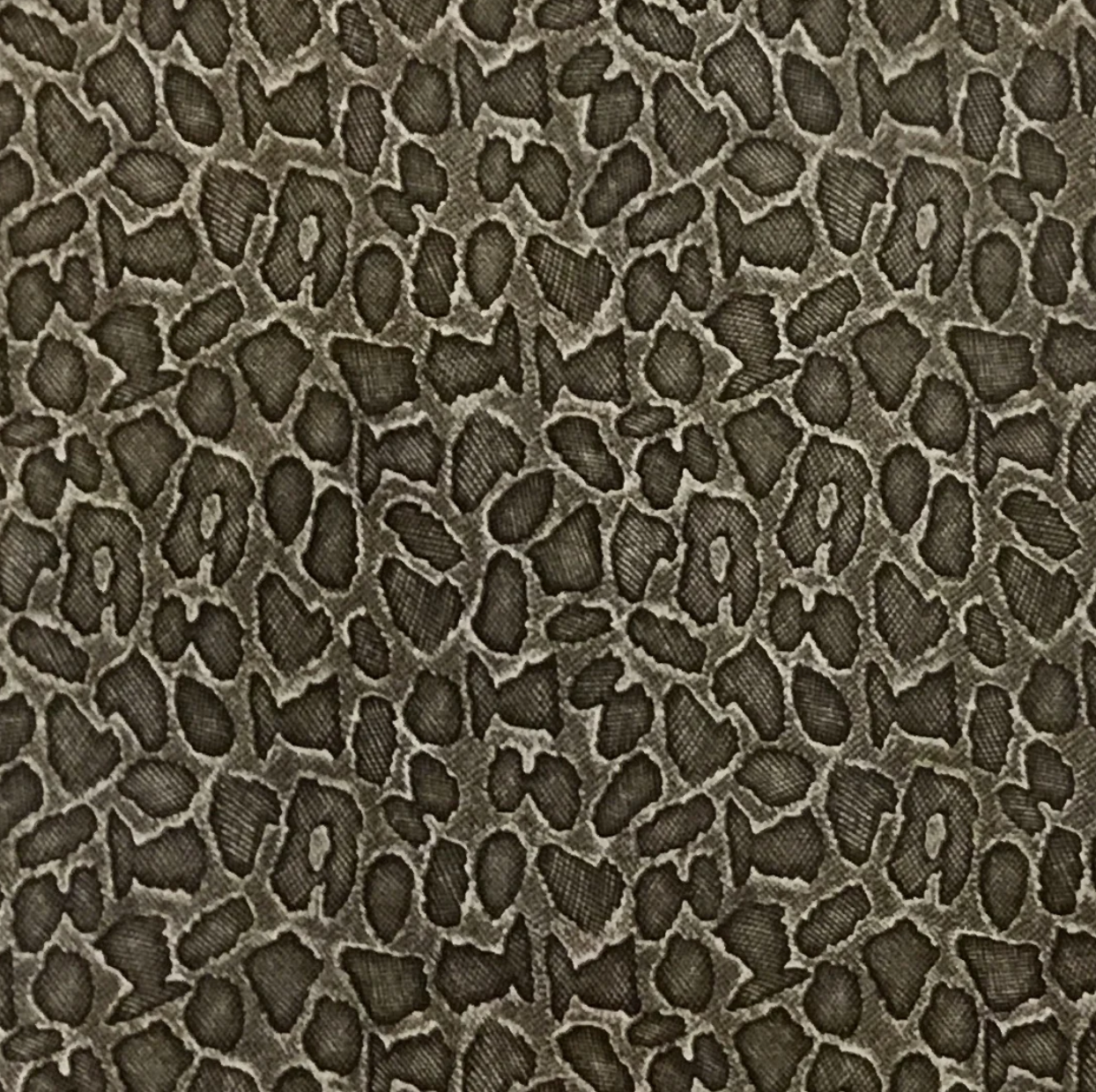 GRAY SNAKE SKIN