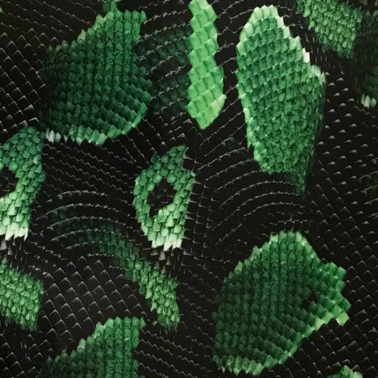 GREEN BOA SNAKE SKIN