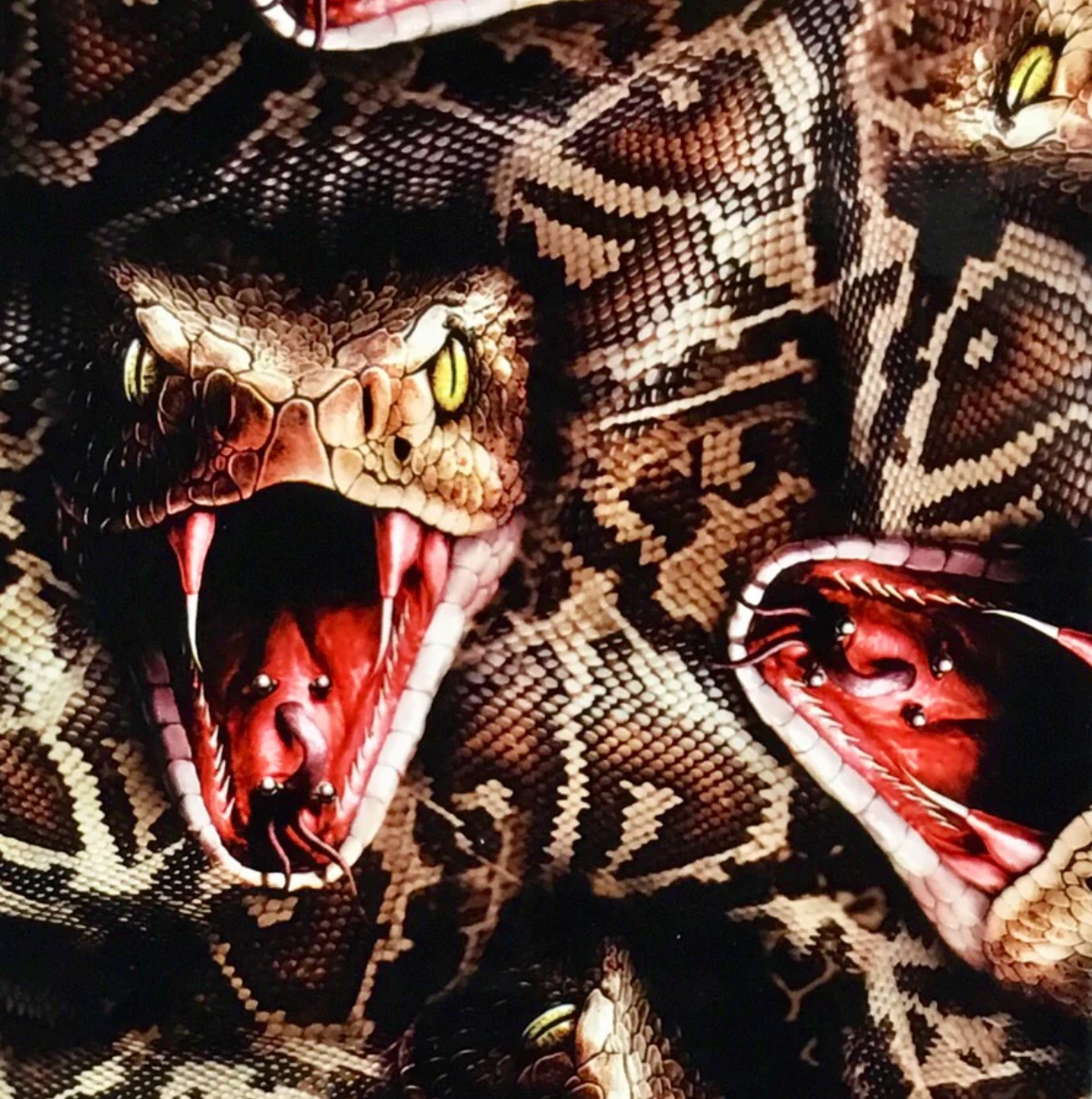 HI DEFINITION VIPER SNAKE
