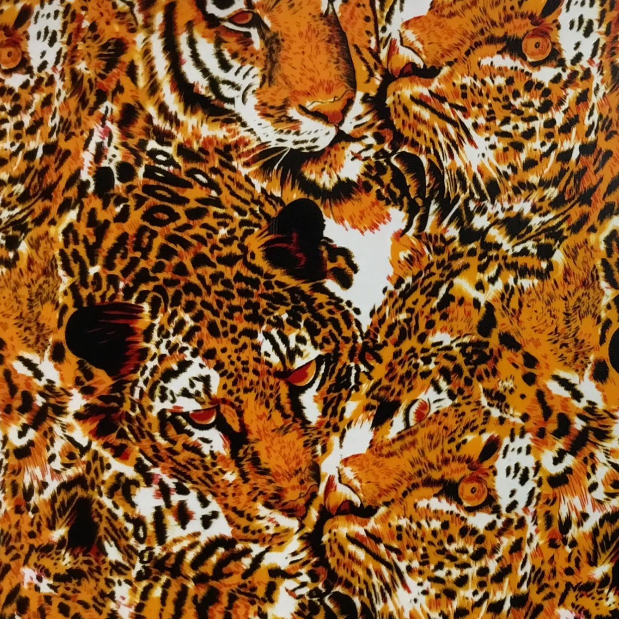 ILLUSION TIGER CHEETAH