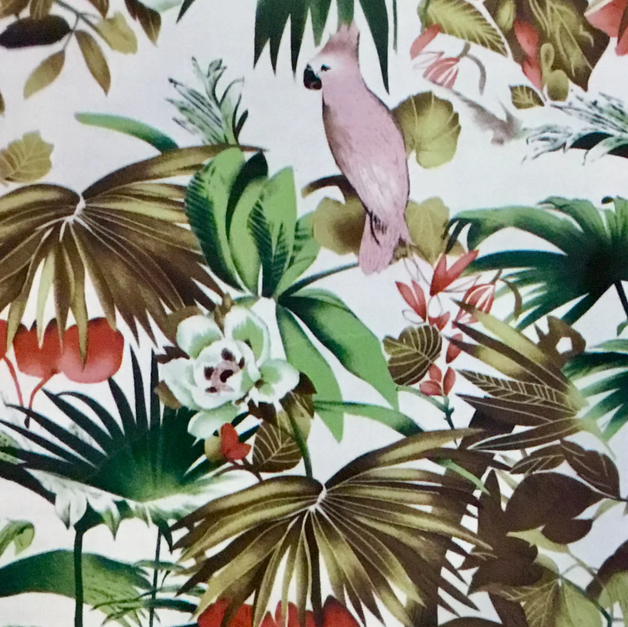 JUNGLE BIRDS
