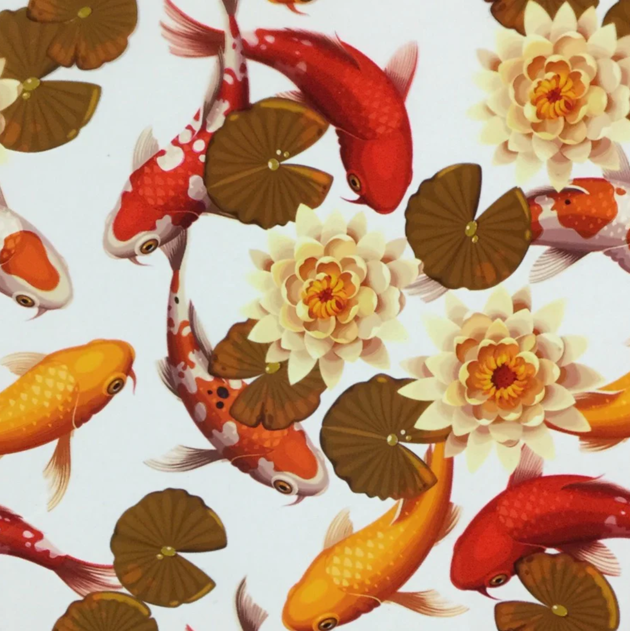 KOI FISH POND