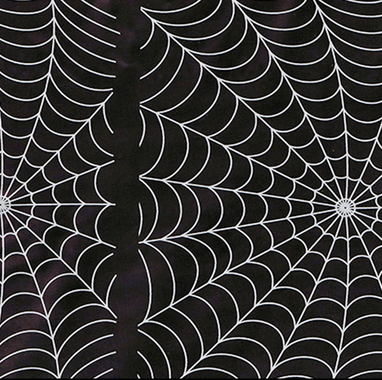 LARGE SPIDER WEB