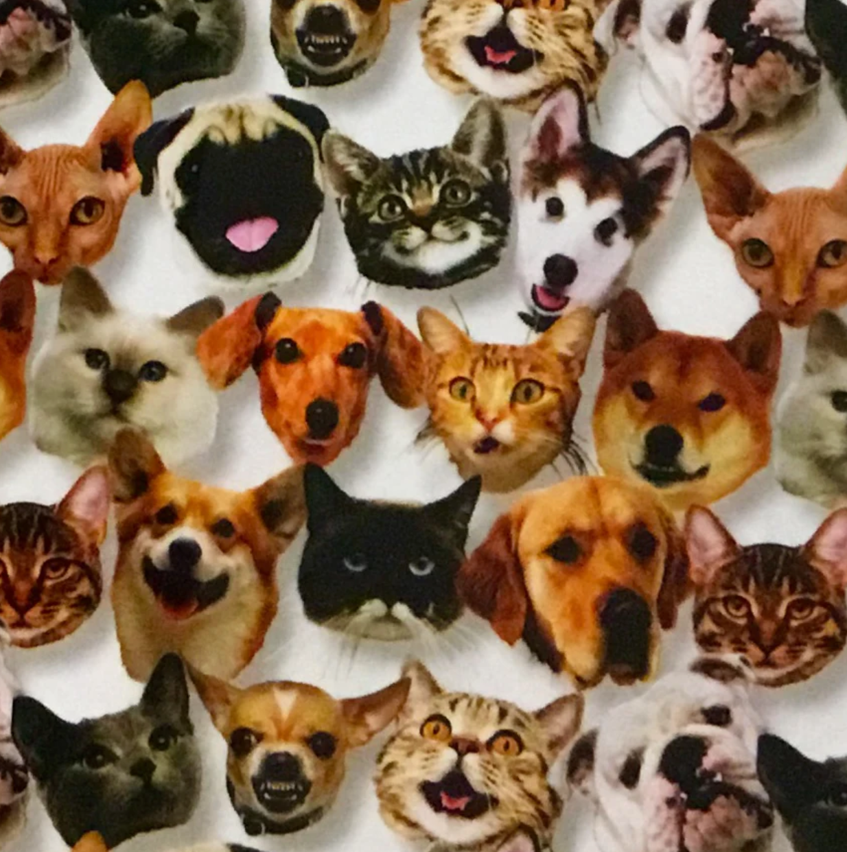 MINI FURRY FRIENDS