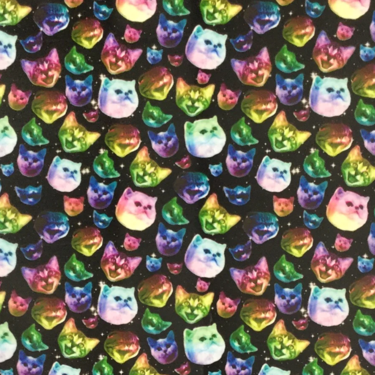 MINI RAINBOW CATS