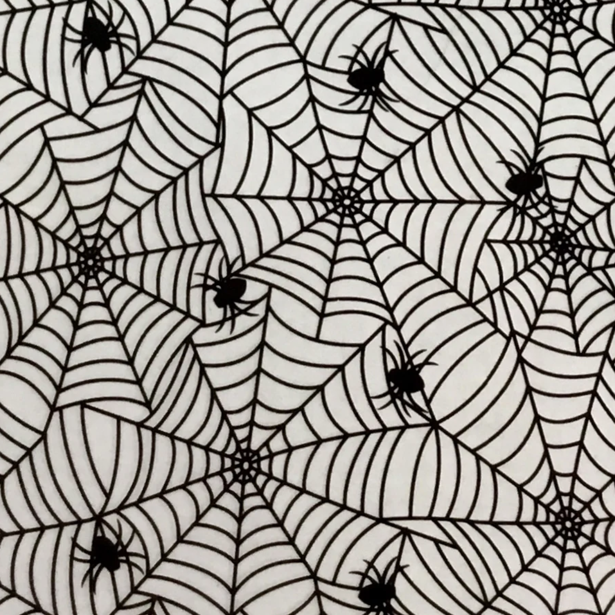 MINI SPIDER WEB