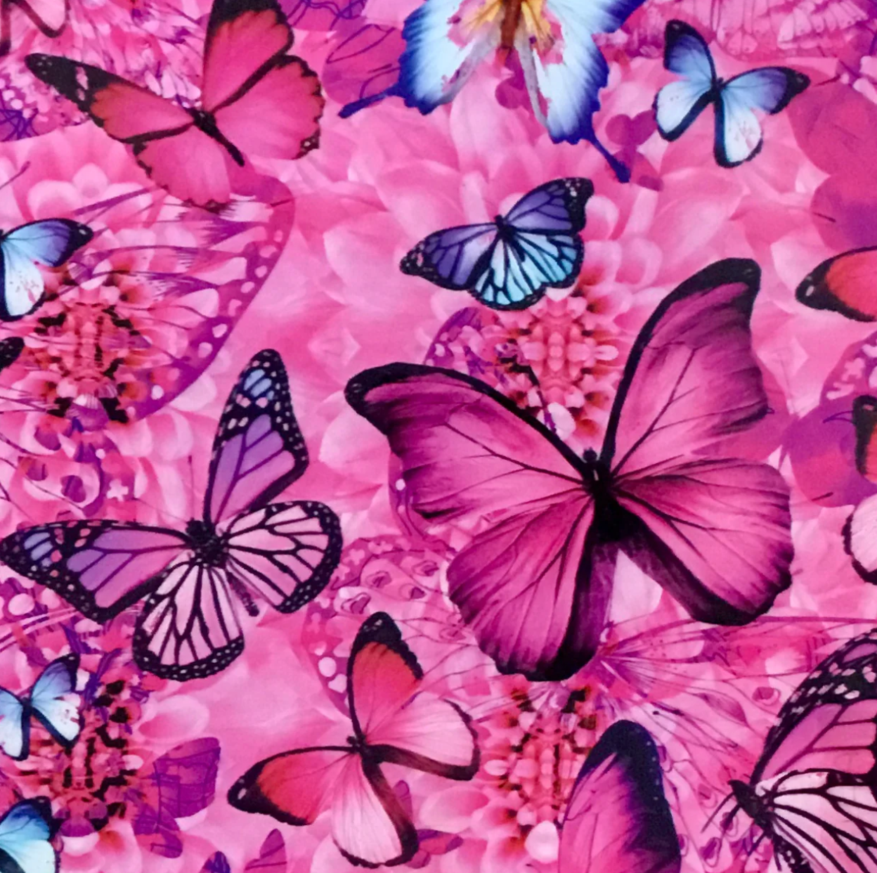 PINK BLUE BUTTERFLIES