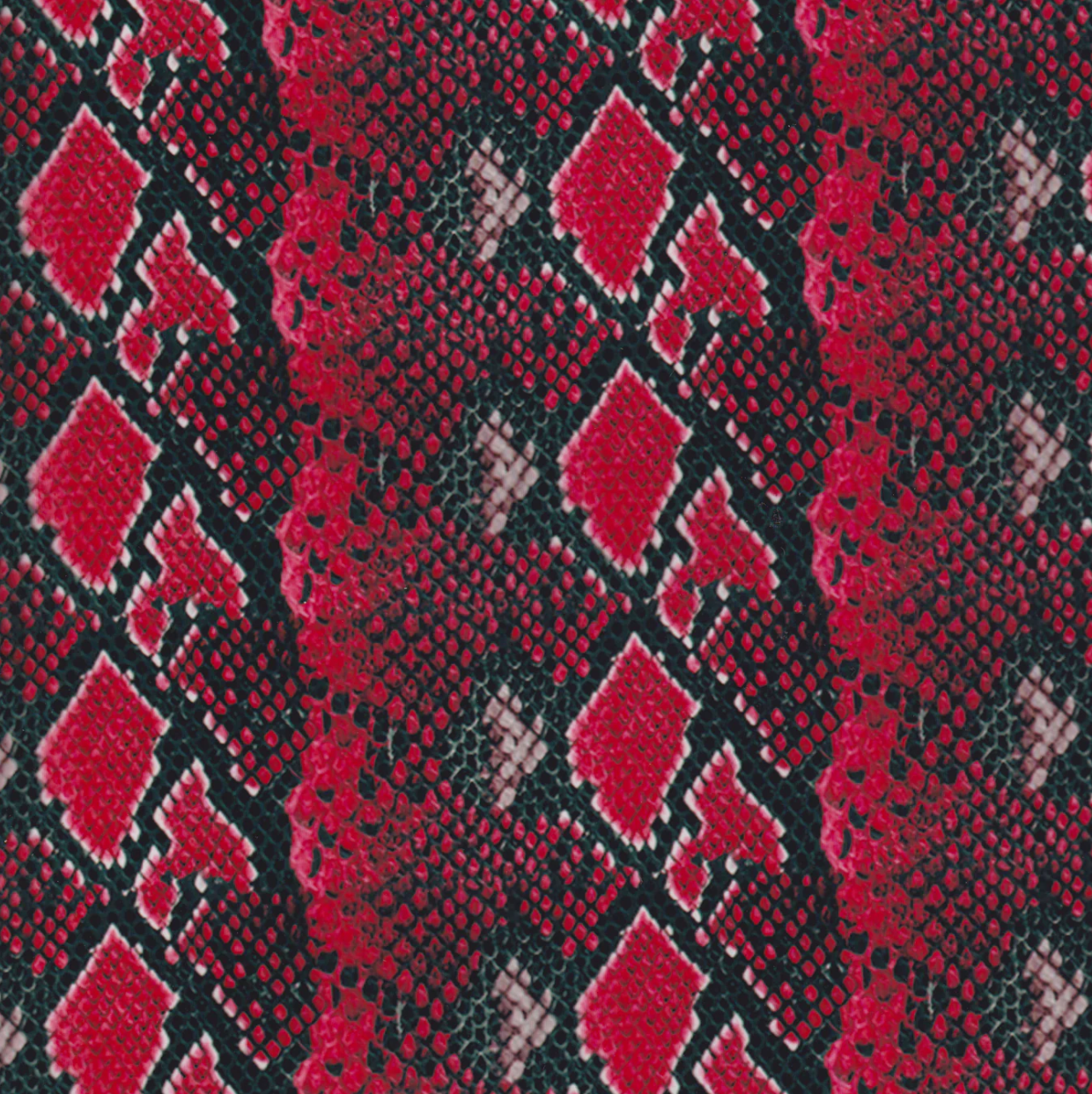 RED BLACK SNAKE SKIN