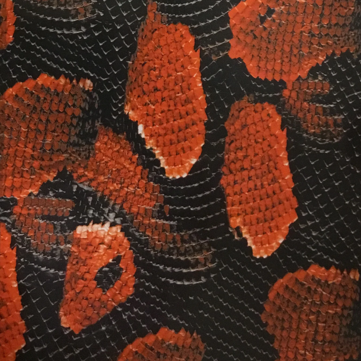RED BOA SNAKE SKIN