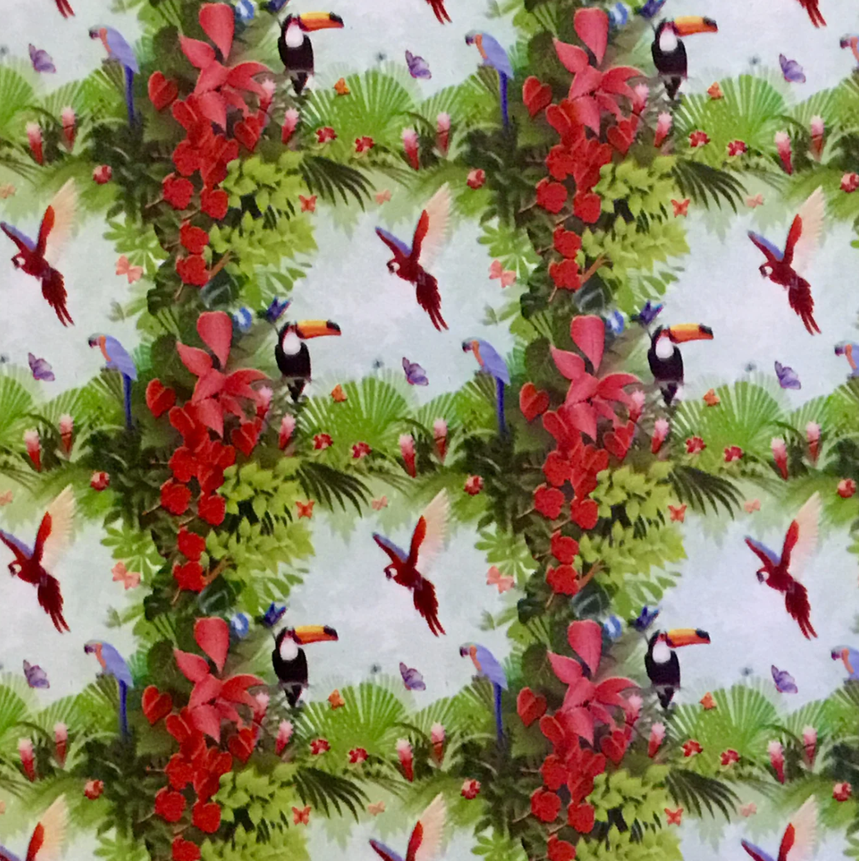 TROPICAL BIRDS