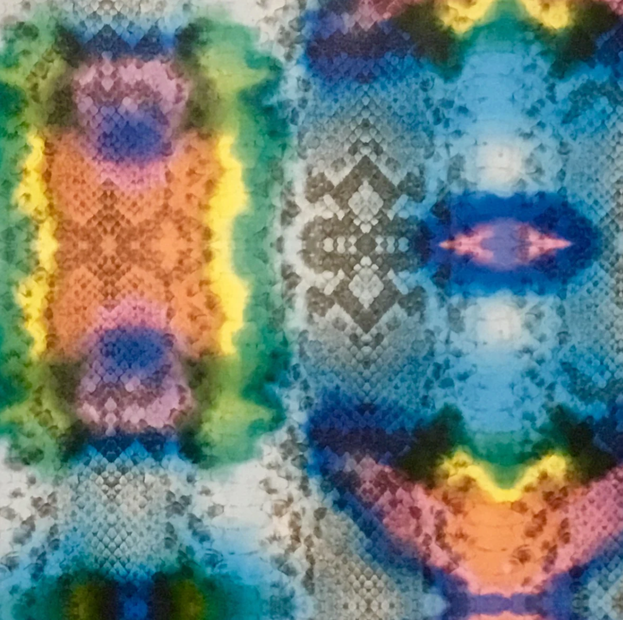 TYE DYE SNAKE SKIN