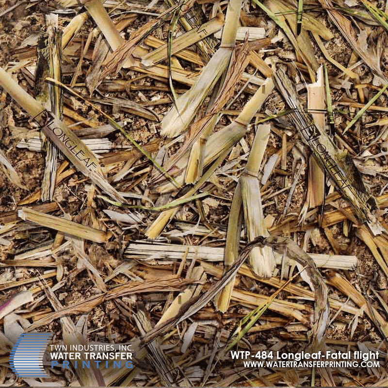 WTP-484 LONGLEAF FATAL FLIGHT