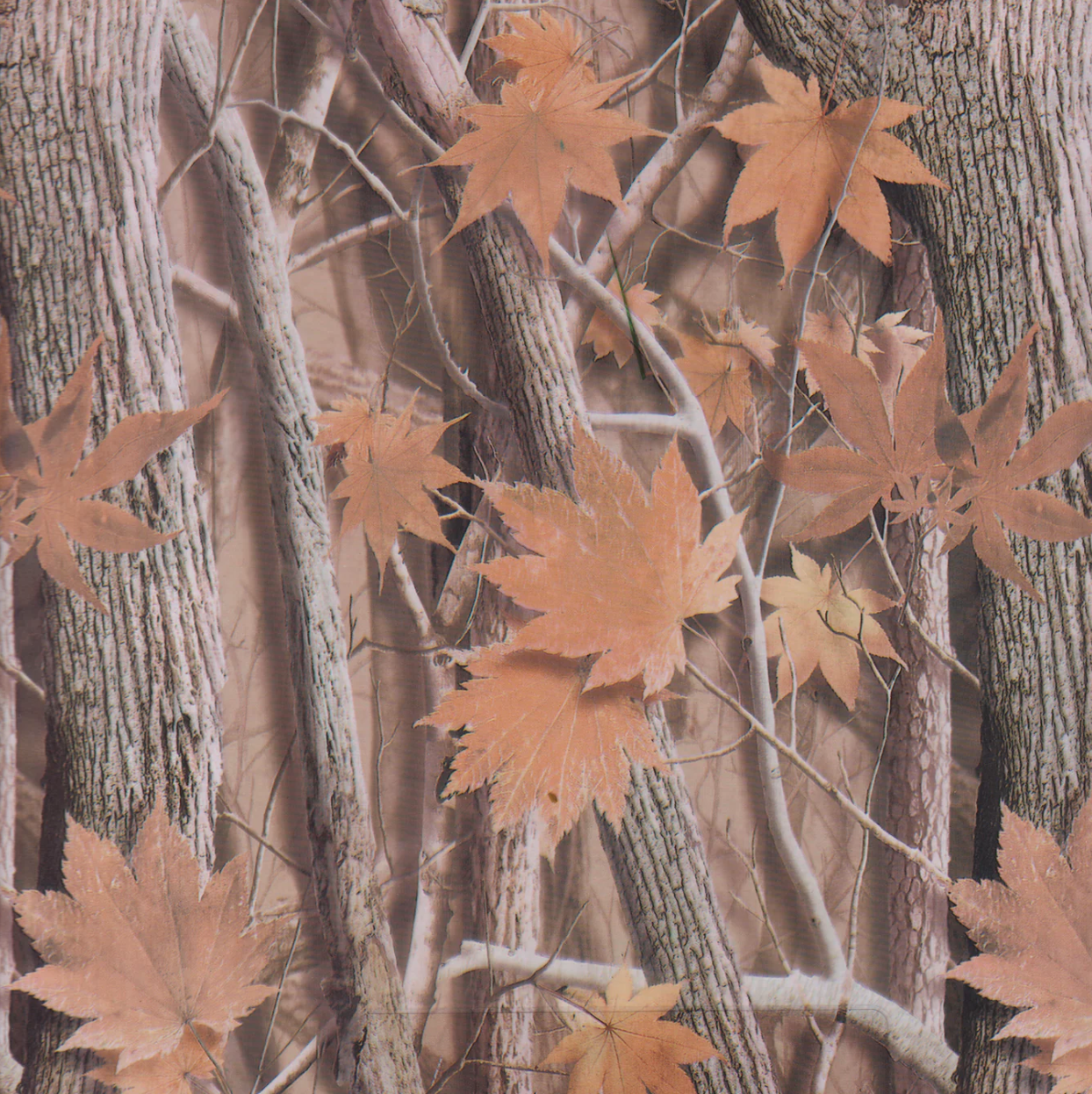 BROWN MAPLE LEAF