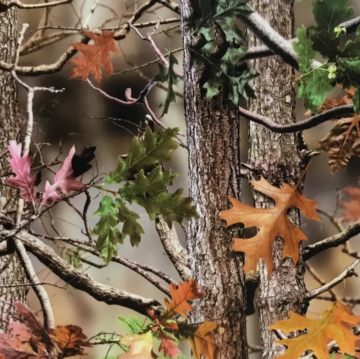 MID SEASON TRANSPARENT CAMO