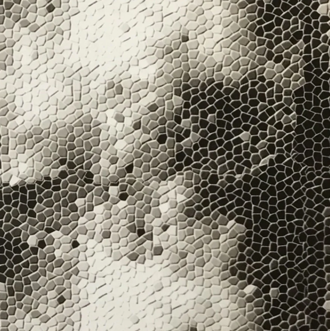 BLACK CLEAR TEXTILE