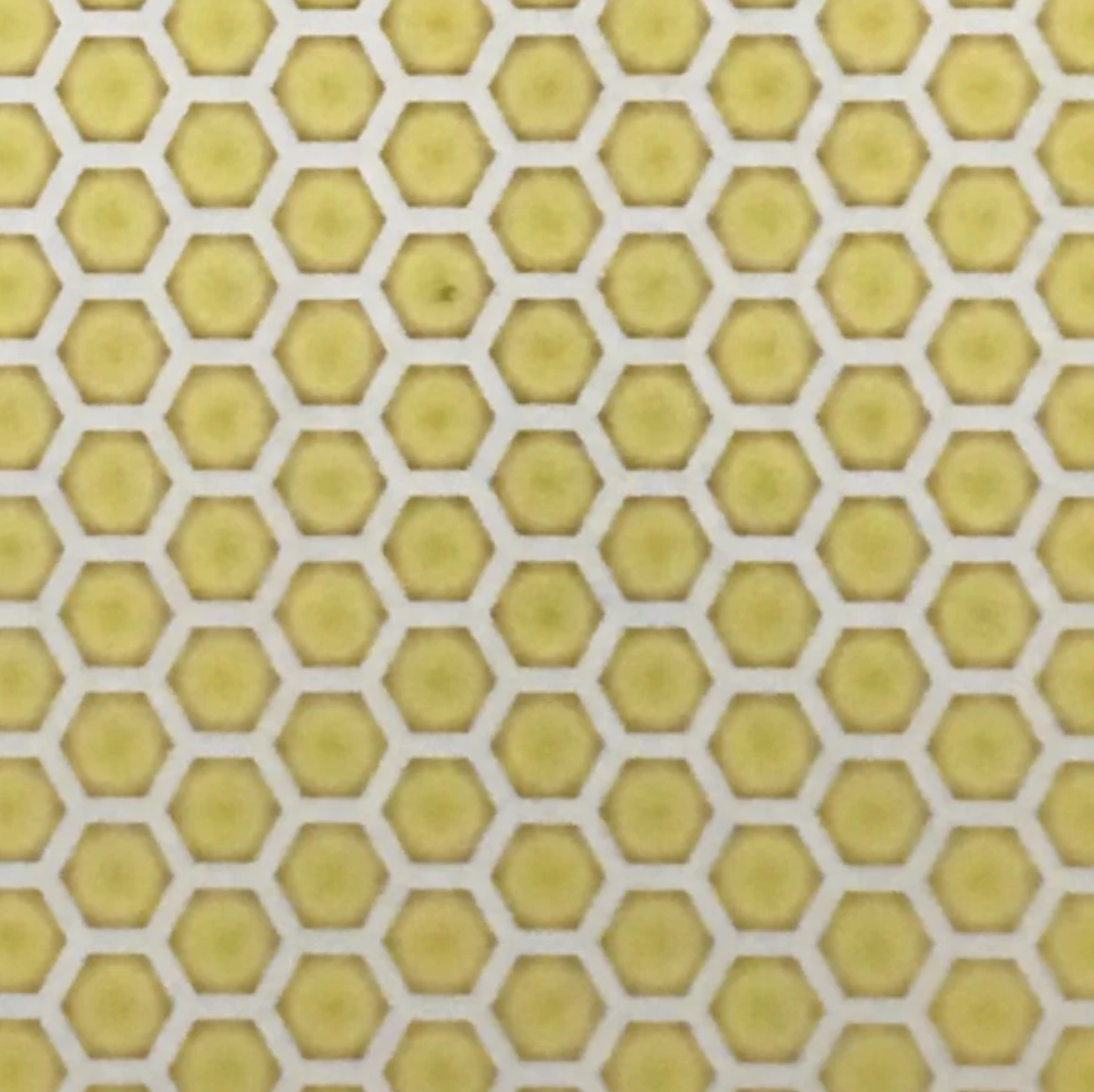 HONEY COMB