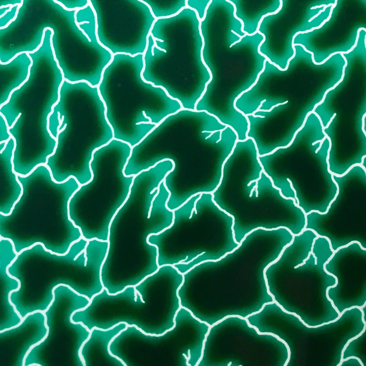 GREEN LIGHTNING