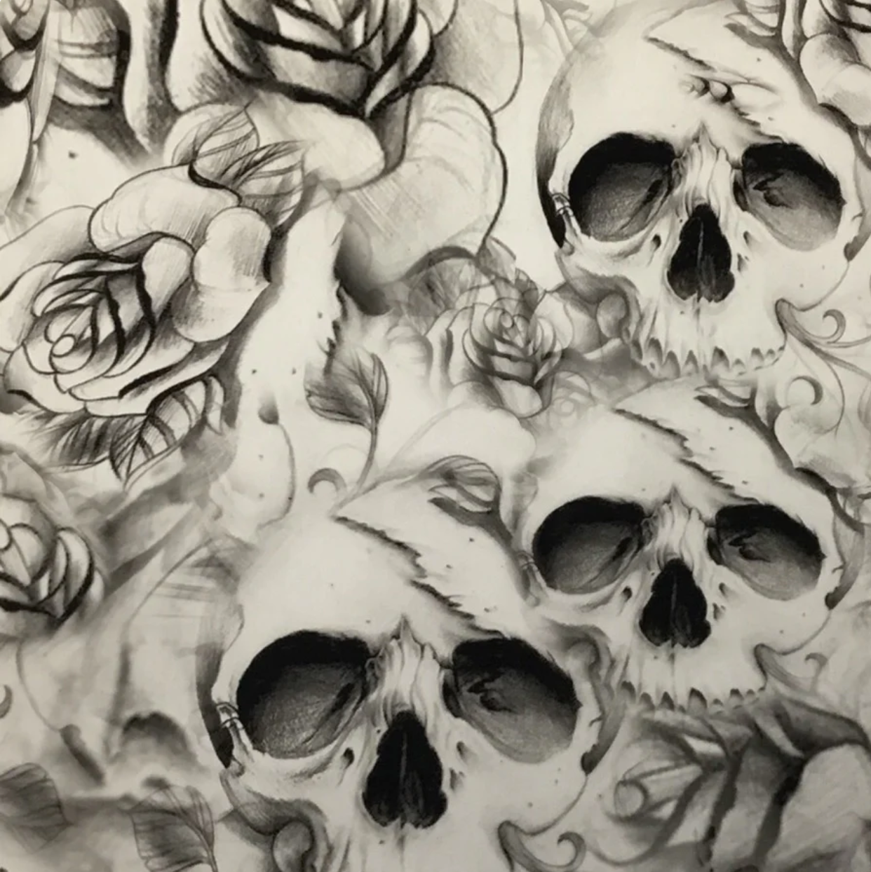 LARGE CHARCOAL DRAWING SKULLS
