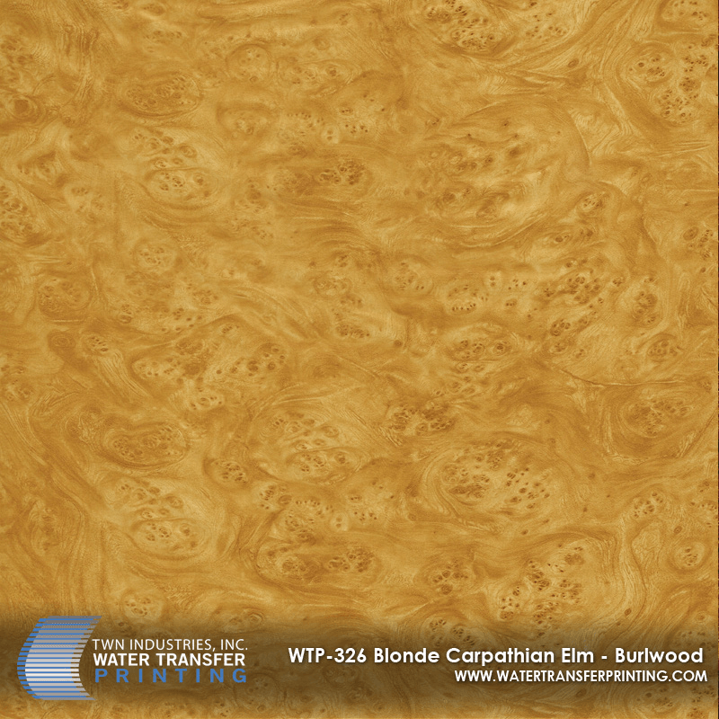 WTP-326 BLONDE CARPATHIAN ELM BURLWOOD