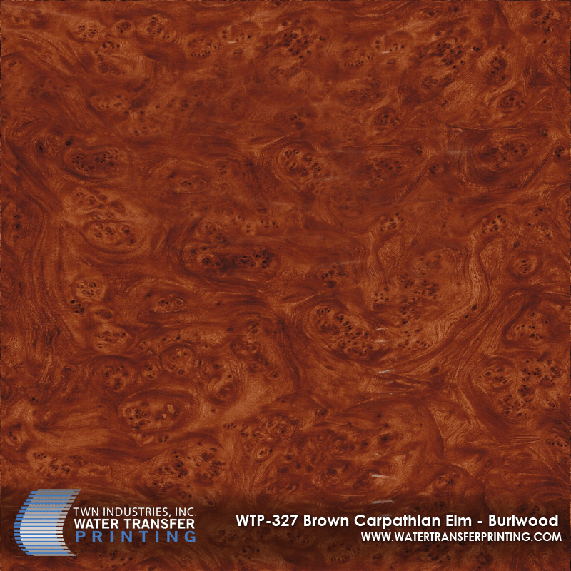 WTP-327 BROWN CARPATHIAN ELM BURLWOOD