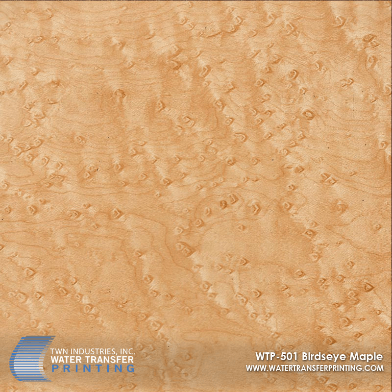 WTP-501 BIRDSEYE MAPLE
