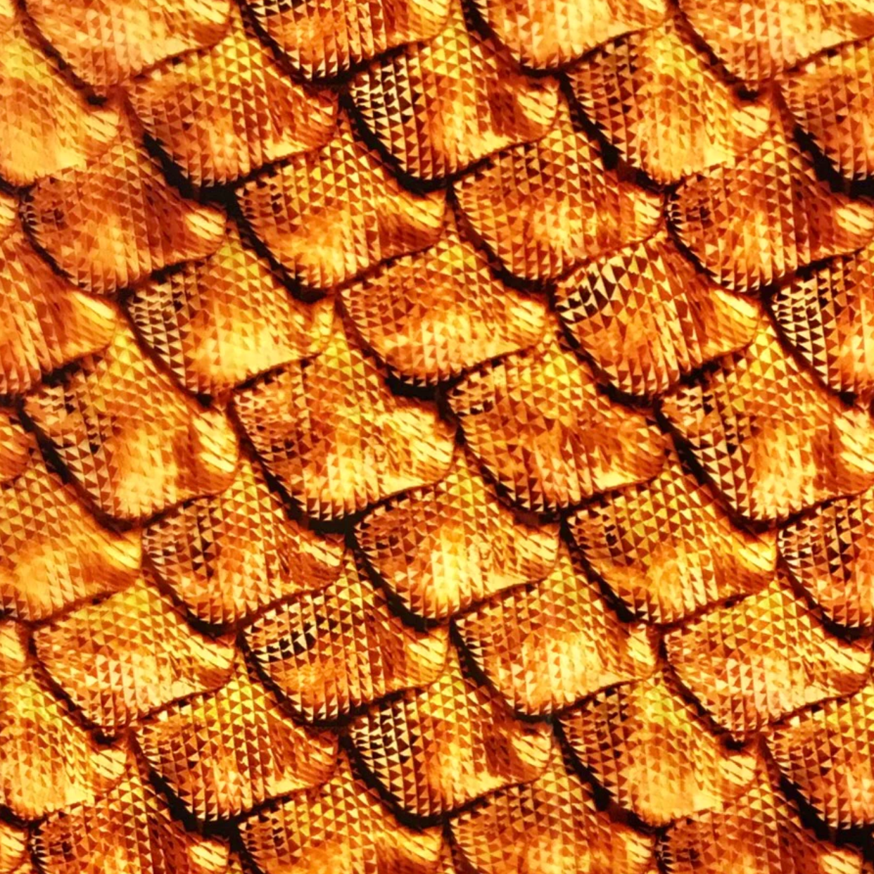 COPPER DRAGON SCALES