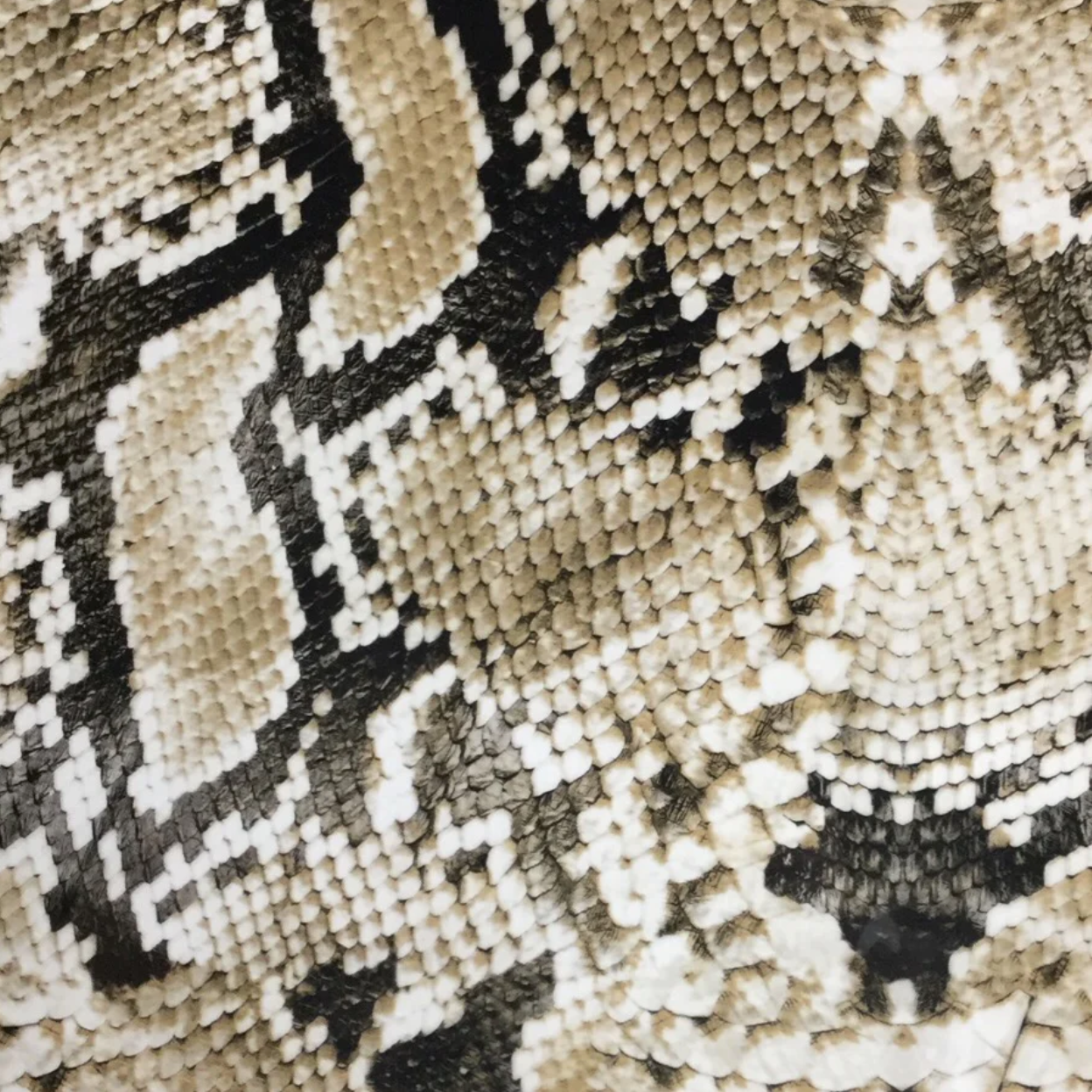 BLACK TAN SNAKE SKIN