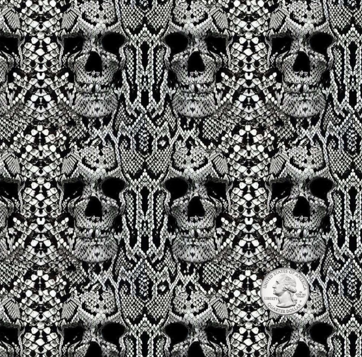 DEATH SNAKE 1 RATTLESNAKE SKULLS