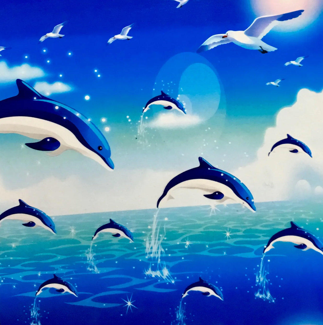 DOLPHINS