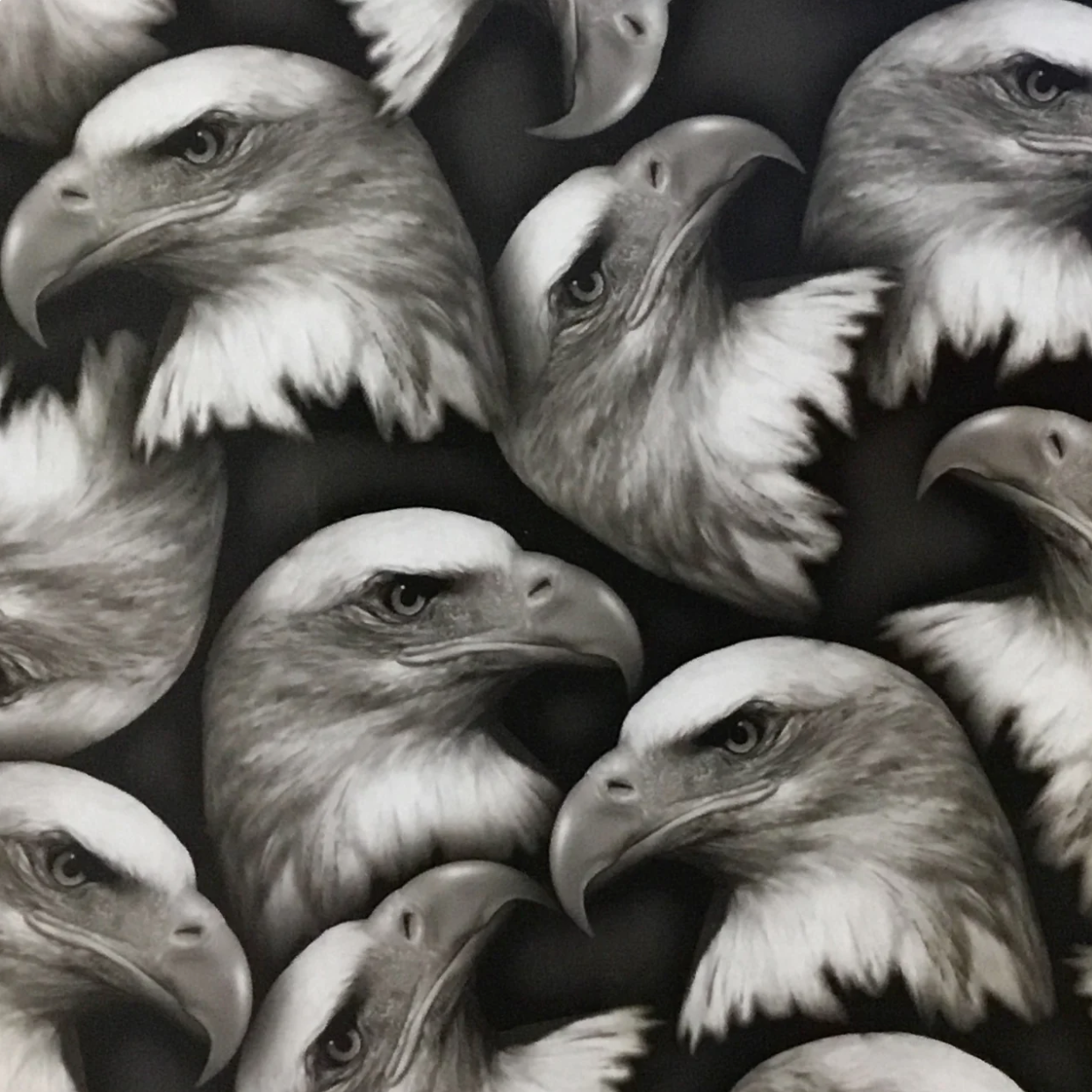 EAGLE HEADS