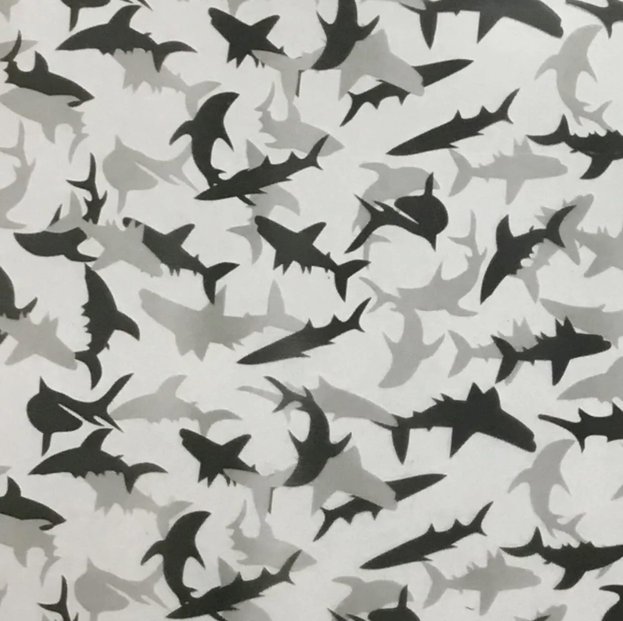 GRAY SHARKS