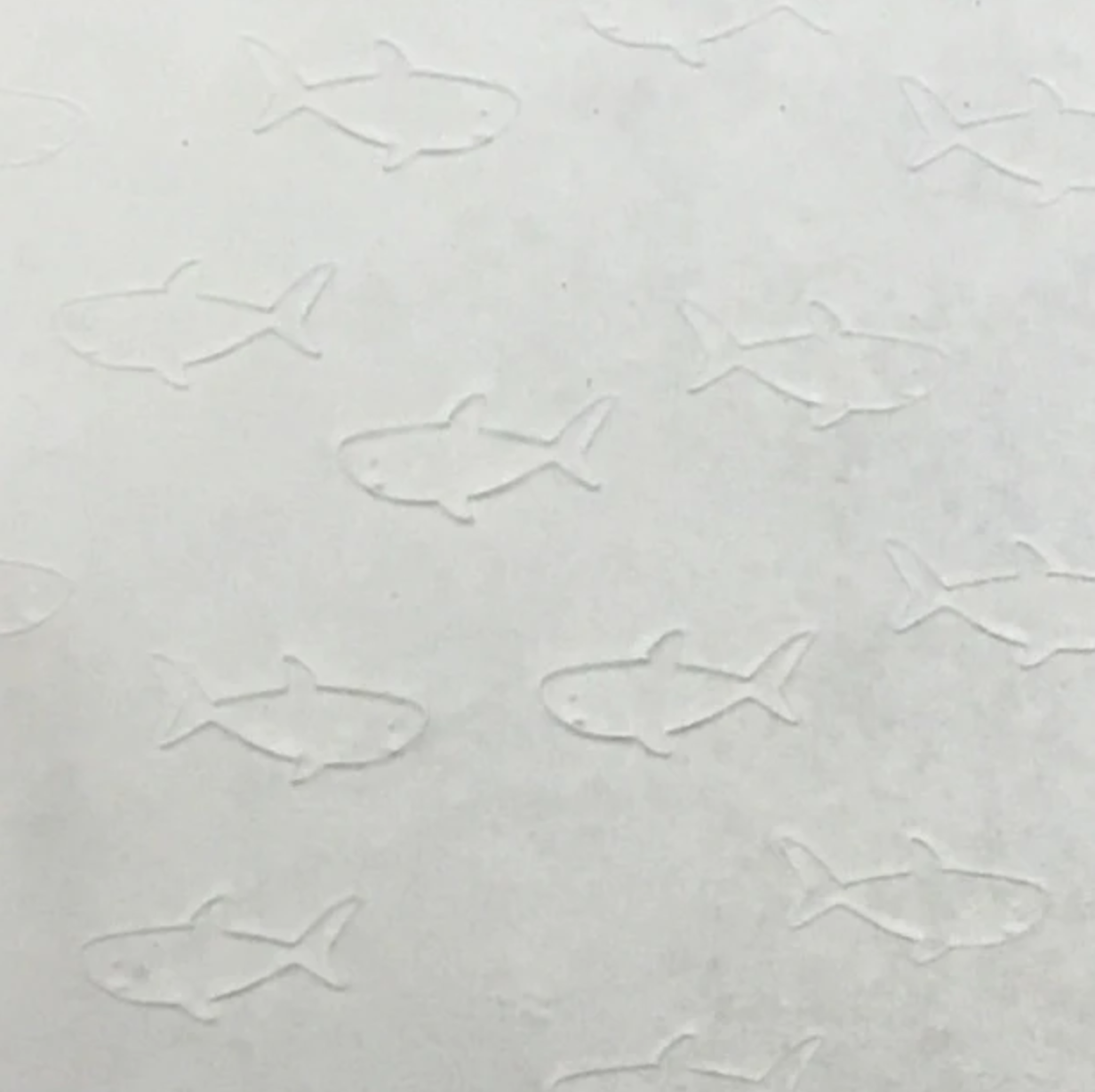 MINI CLEAR WHITE SHARKS