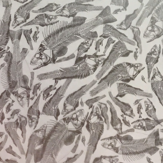 SILVER CLEAR FISH BONES