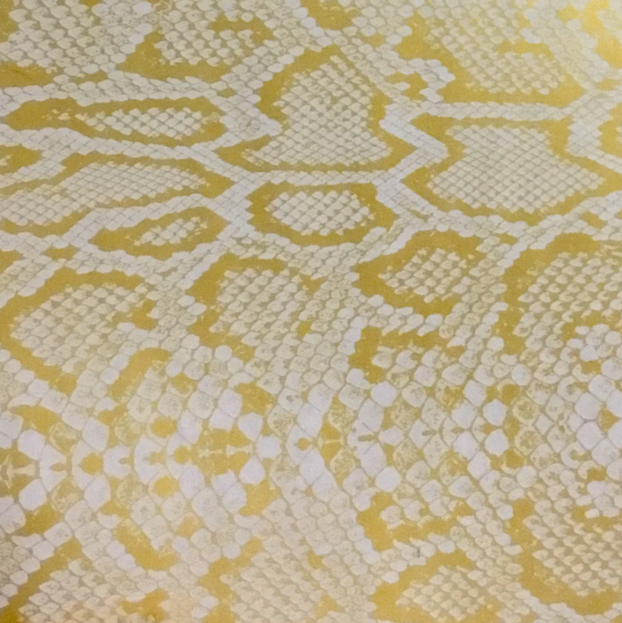 YELLOW PYTHON SNAKE SKIN