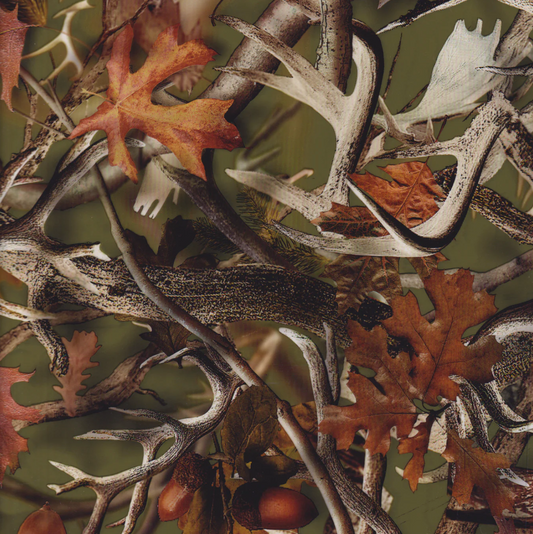 HORNS AND ACORN CAMO