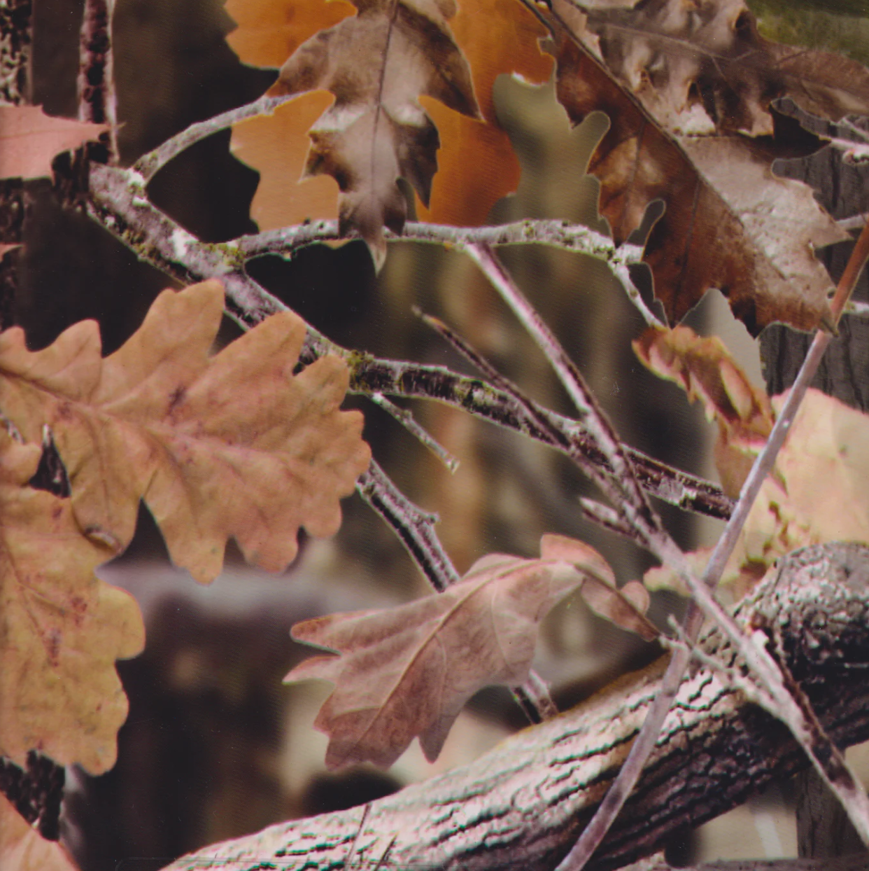 LINK LEAF CAMO