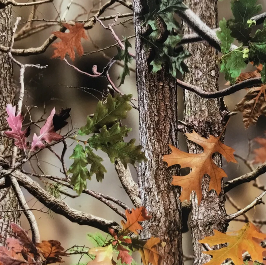 MID SEASON TRANSPARENT CAMO