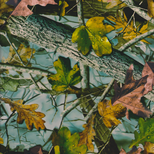 MOONLIT NEW FALL LEAVES