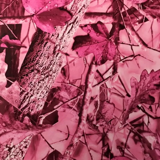 PINK NEW FALL LEAVES