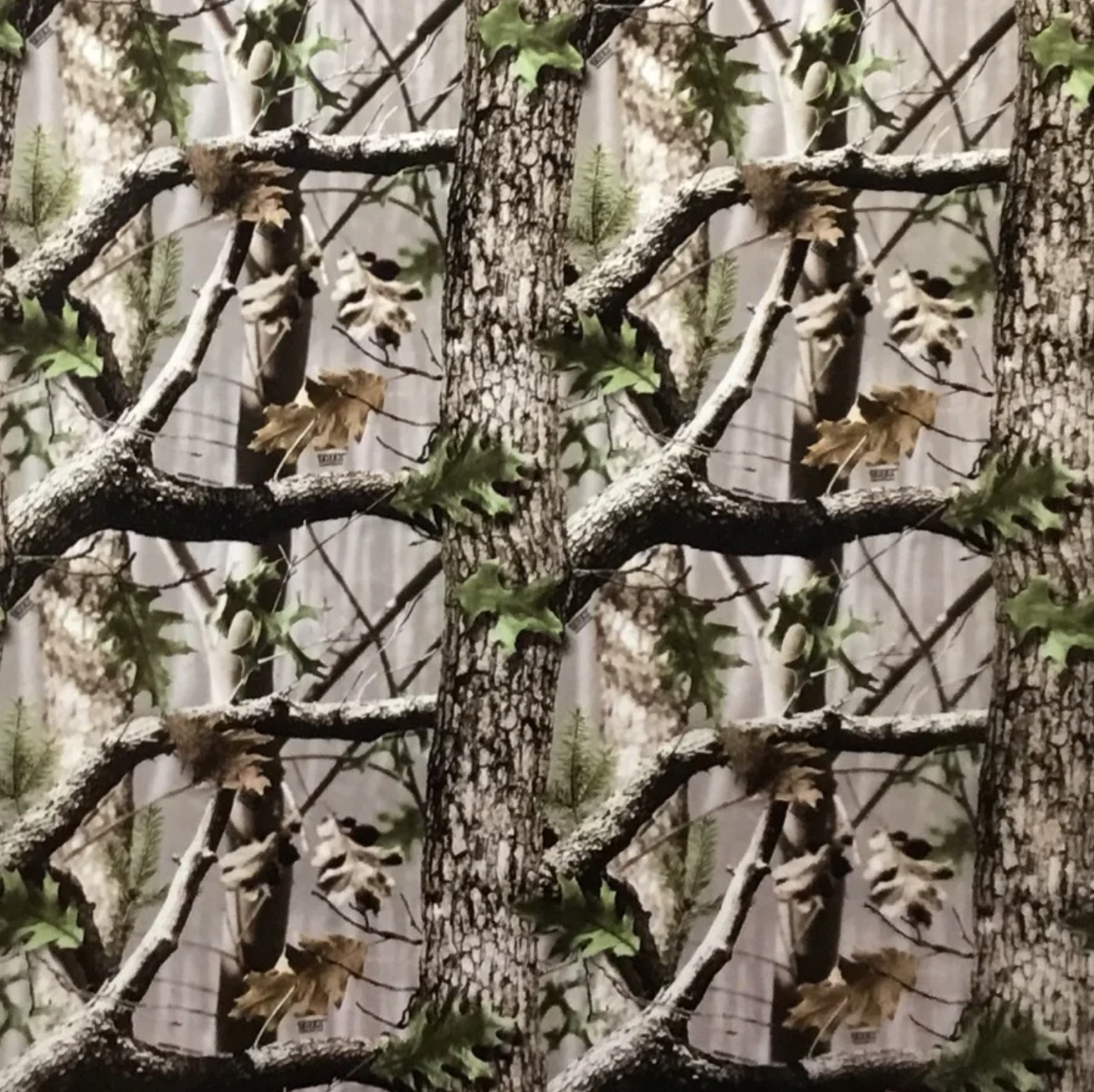 SMALL SCALE DEEP WOODS