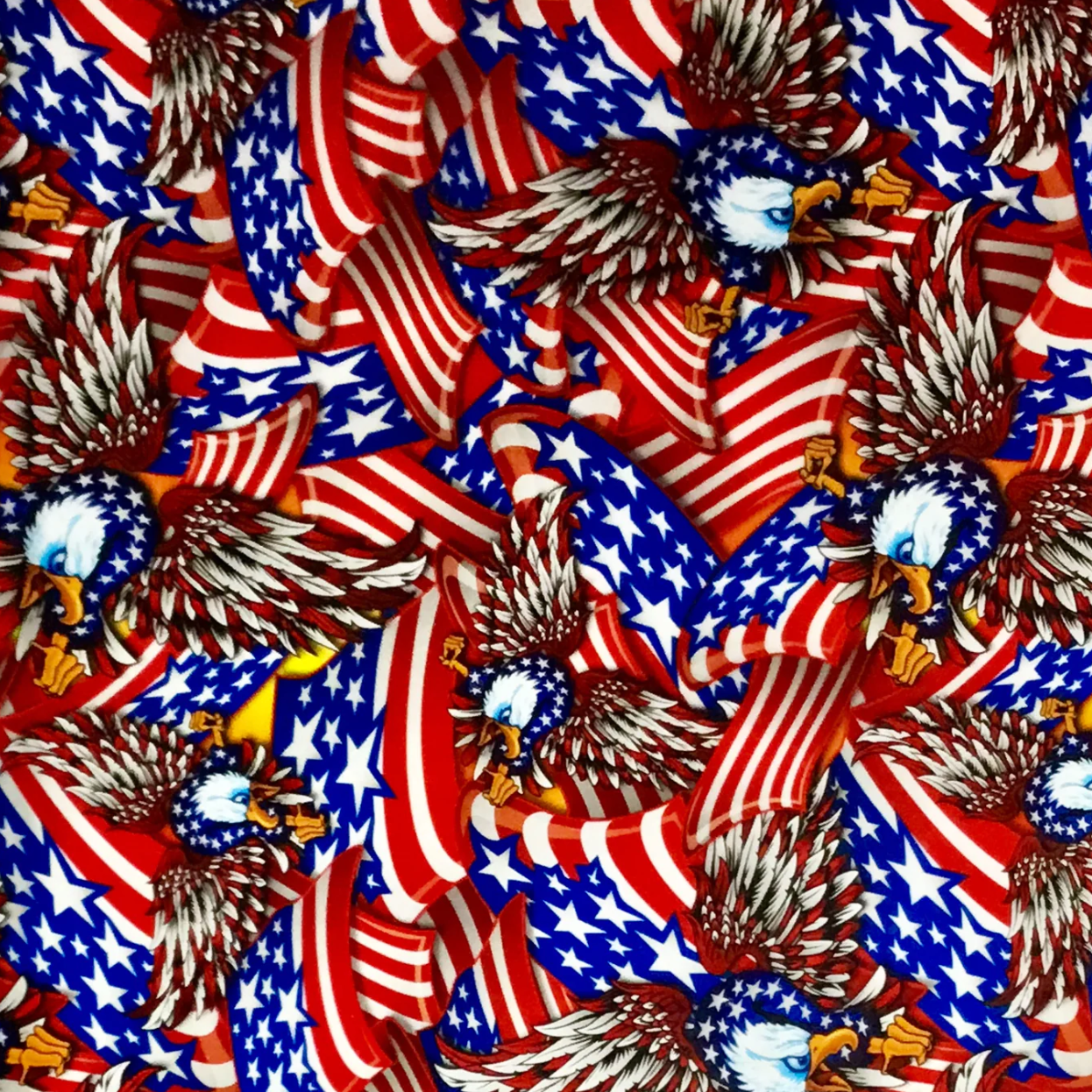FLAGS AND EAGLES