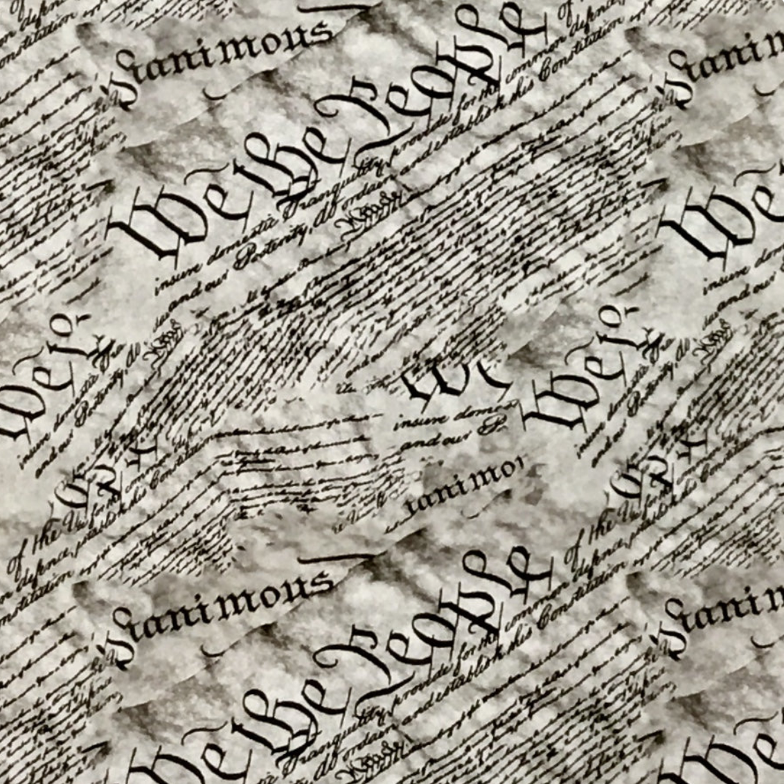 WE THE PEOPLE SCRIPT
